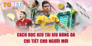 Cách Đọc Kèo Tài Xỉu Bóng Đá Chi Tiết Cho Người Mới